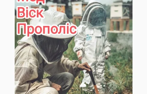 Закупівля меду та бджолопродуктів