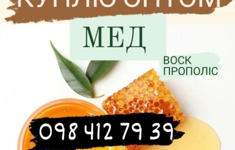 Куплю мёд оптом без антибиотиков