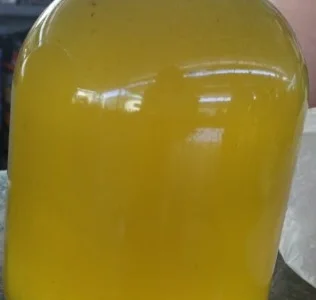 Продается мед майский рапс 2023 года