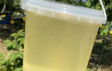 Купую мед оптом