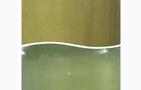 Купую мед з акації оптом