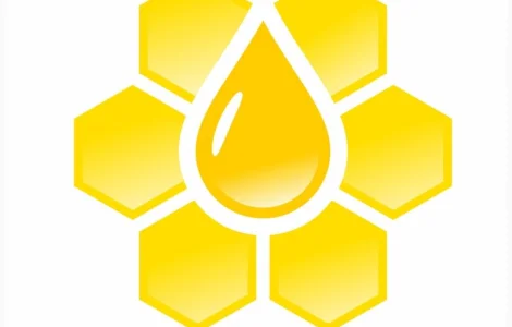 Закупаем мед оптом от 5 тонн