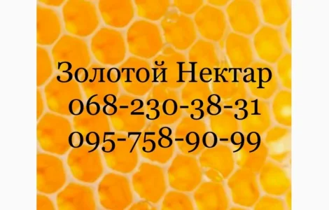 Закупка меда без антибиотиков в Днепропетровской и Херсонской области