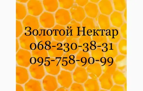 Закупка меда по Дніпропетровській і Херсонській обл