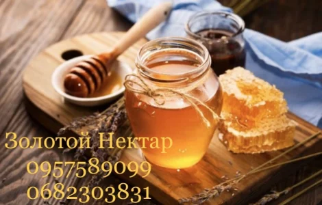 Закупівля соняшникового меду оптом