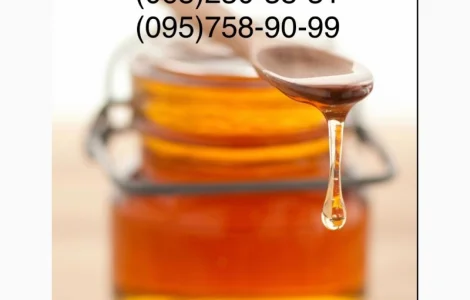 Купуємо мед у бджолярів на вигідних умовах