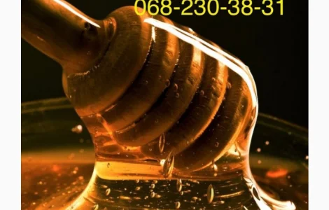 Закупівля меду оптом від 300 кг на вигідних умовах