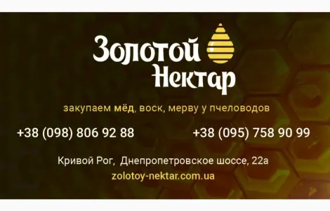 Куплю мёд оптом