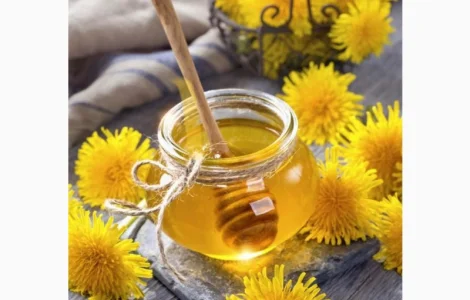 Закупаем мед оптом без антибиотиков в Днепропетровской области