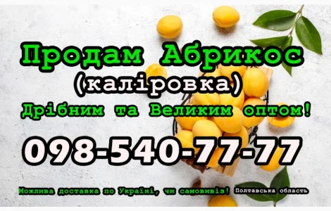 Продам Абрикос (каліровка) 2024 року урожаю