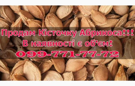 Продам Кісточку абрикоса