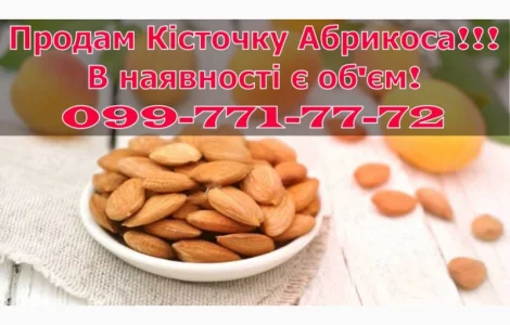 Продам кісточку абрикоса! Збір 2024р