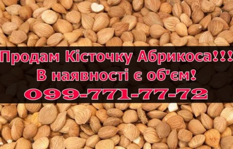 Реалізую кісточку абрикоса оптом