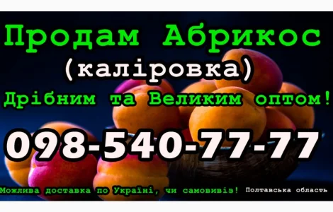 Реалізую Абрикос Каліровка, на постійній основі, свіжий урожай