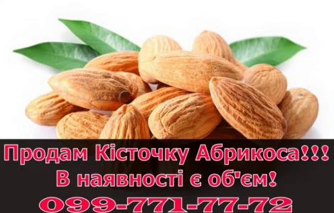 Реалізую кісточку абрикоса за договірними цінами