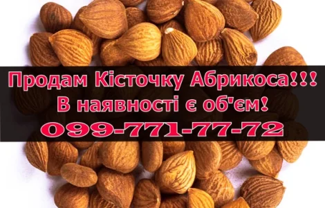 Реалізую кісточки абрикоса!в наявності обєм!Ціна договірна