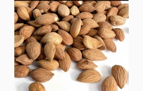 Продам Кісточку абрикоса! Великим та дрібним оптом