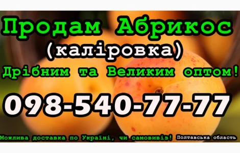 Продам Абрикос (калировка) за договірною ціною на постійній основі