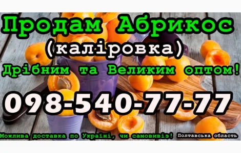 Продаю Абрикос Каліровка, на постійній основі