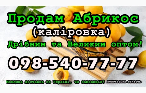 Продам Абрикос (калировка) за договірною ціною, урожай 2024