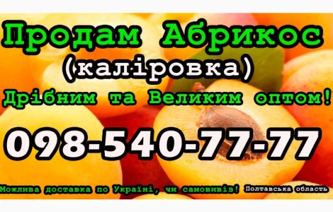 Продаю Абрикос Каліровка, сезон 2024