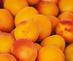 Абрикосы