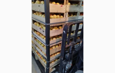 Пропонується молдавська ананаска відмінної якості