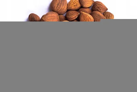 Ядро сладкой абрикосовой косточки