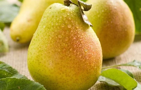 Груша переробка