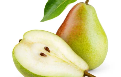 Закупівля груші переробка