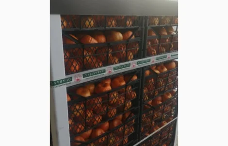 Куплю Мандарины оптом от 20 тонн