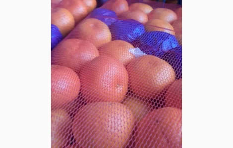 Продам мандарин оптом Окітсу, Сатсума