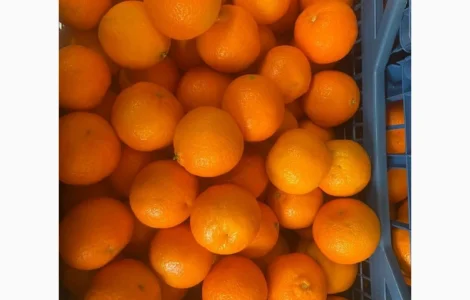 Продается мандарин Клементин, Греция, опт со склада в Тернополе