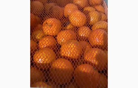 Мандарины испания опт