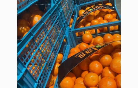 Мандарины ОПТ Турция цена 36грн кг От 5тонн