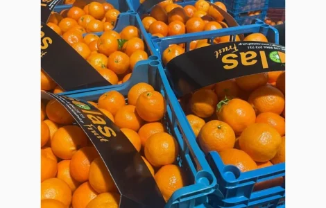 Мандарины ОПТ 36грн кг от 5т Турция без брака