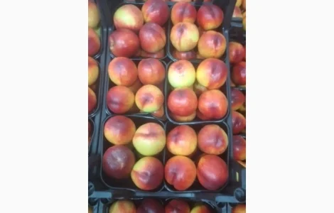 Персик урожай 2023