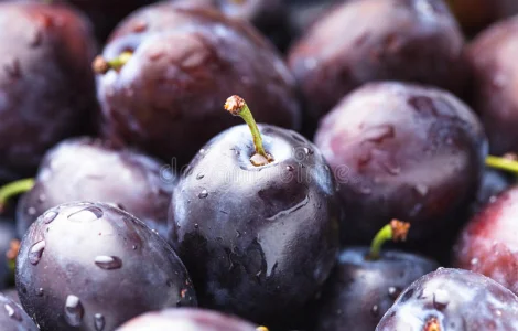 КУПЛЮ сливу