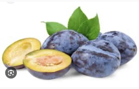 Куплю сливу свіжу