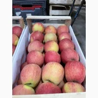 Продам яблука Фуджі. Ред Чіф. Джеромін.Голден