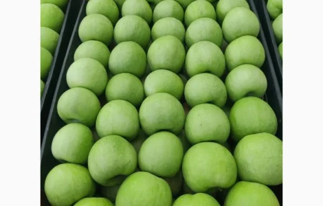 Продаємо яблуко оптом