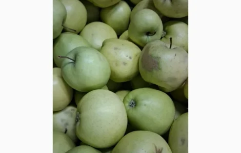 Продам яблоко сорт Голден 3 сорт