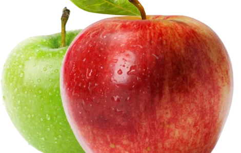 Закупівля яблук промислова переробка