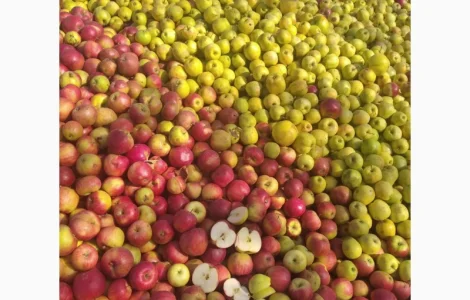 Яблука переробка