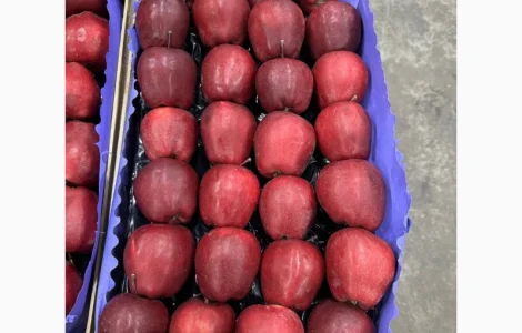 Продам яблука Джерамін