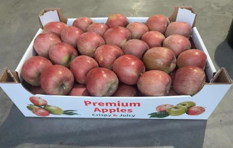 Продам яблука: фуджі, голден