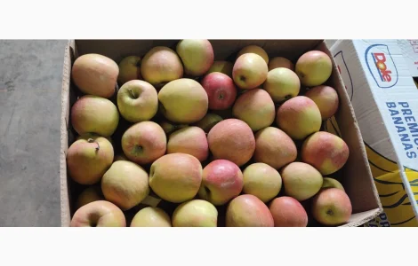 Продаются яблоки сорта Фуджі