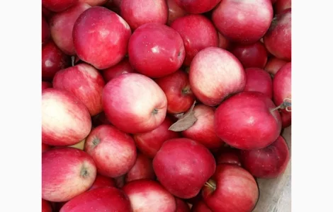 У меня есть покупатели в разных странах на яблоки разных сортов