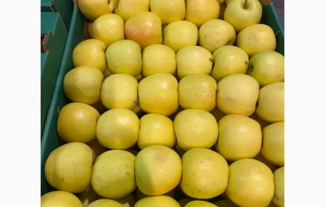 Продам яблоки от произодителя несколько сортов с 20 тонн