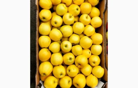 На переробку яблуко